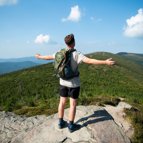 NC1917 PLECAK TURYSTYCZNY ZIELONY RAMBLER 40L NILS CAMP