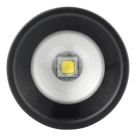 Ansmann M250F Czarny Latarka ręczna